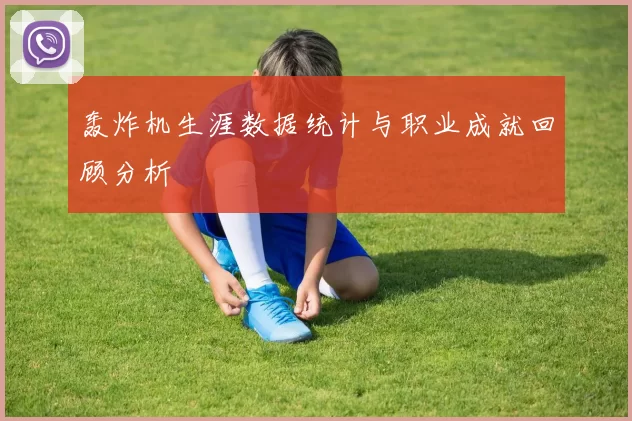 轰炸机生涯数据统计与职业成就回顾分析