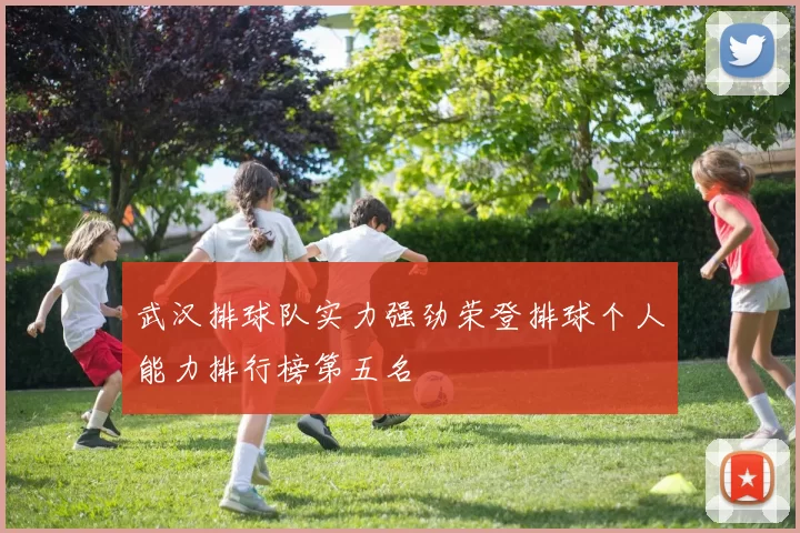 武汉排球队实力强劲荣登排球个人能力排行榜第五名