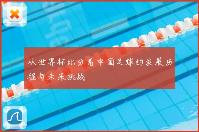 从世界杯比分看中国足球的发展历程与未来挑战