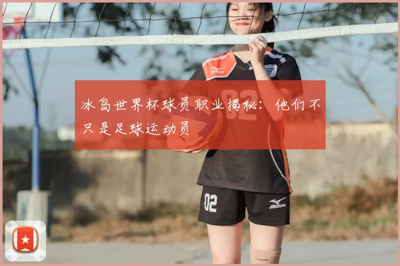 冰岛世界杯球员职业揭秘：他们不只是足球运动员