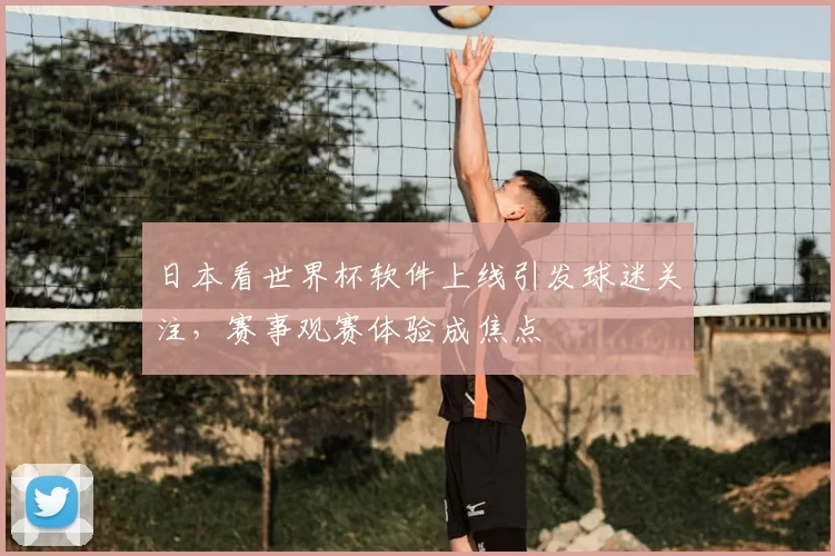 日本看世界杯软件上线引发球迷关注,赛事观赛体验成焦点