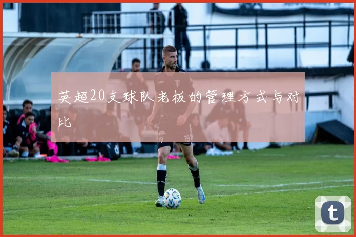 英超20支球队老板的管理方式与对比