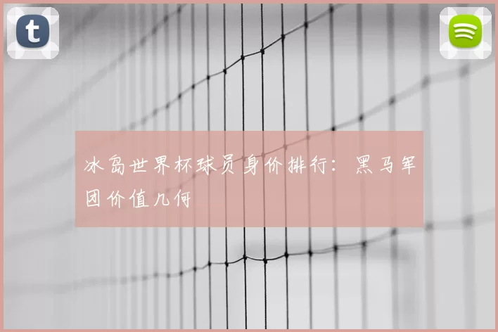冰岛世界杯球员身价排行:黑马军团价值几何