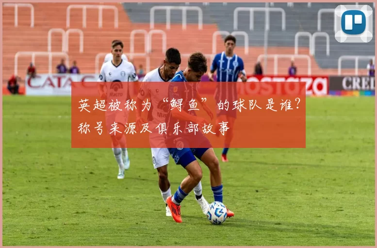英超被称为“鲟鱼”的球队是谁?称号来源及俱乐部故事