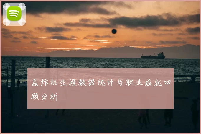 轰炸机生涯数据统计与职业成就回顾分析