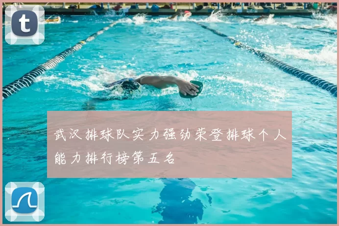 武汉排球队实力强劲荣登排球个人能力排行榜第五名