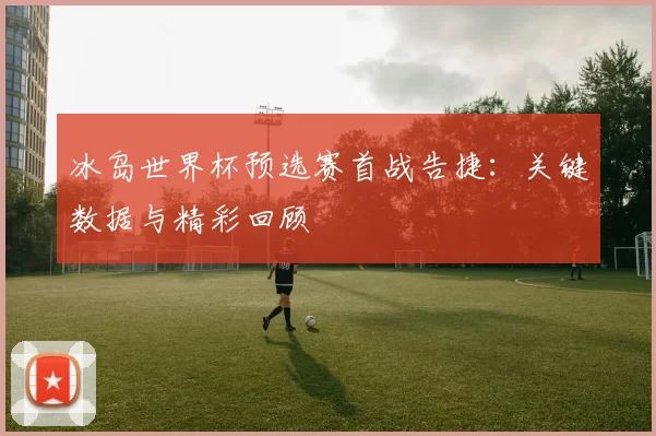 冰岛世界杯预选赛首战告捷：关键数据与精彩回顾
