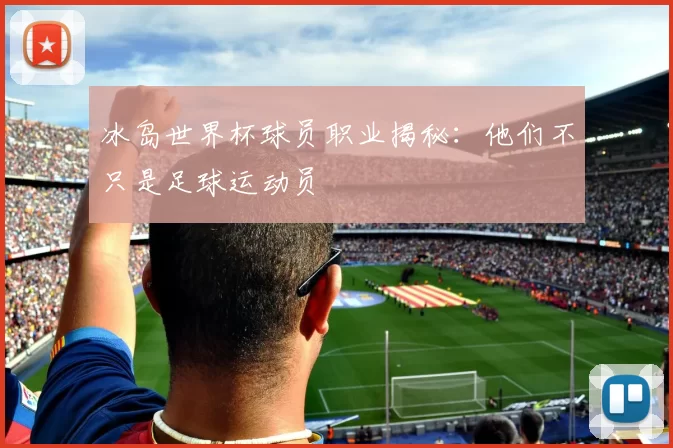 冰岛世界杯球员职业揭秘：他们不只是足球运动员