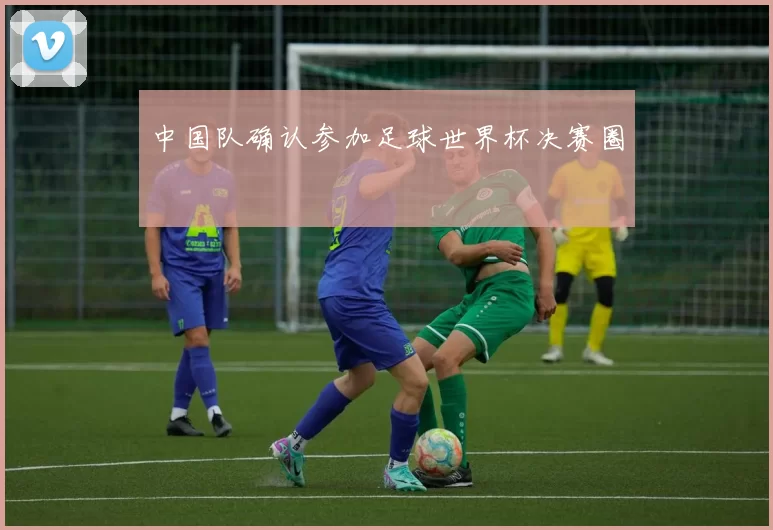 中国队确认参加足球世界杯决赛圈