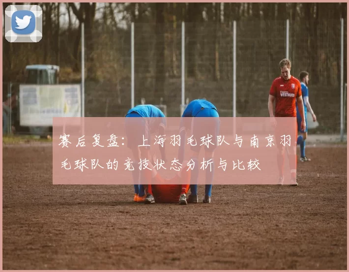 赛后复盘：上海羽毛球队与南京羽毛球队的竞技状态分析与比较