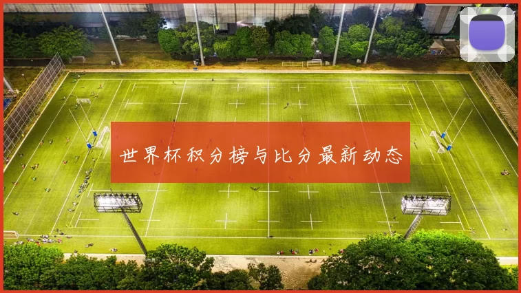 世界杯积分榜与比分最新动态