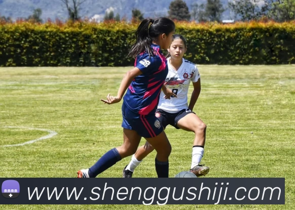 球盟会APP 封面图